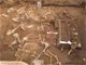 西安高校古墓众多挖出秦始皇祖母墓 规格高葬品精美引人惊叹