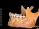 两具7000年前早期人类的遗骸研究发现