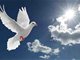 双语美文：peace 和平之诗