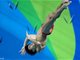 里约奥运男子3米跳水板曹缘摘金牌 中国斩获第16金
