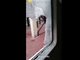 实拍旅客在火车行驶中击碎车窗玻璃跳车身亡视频