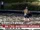 实拍广东河源又一渔场万尾鲟鱼死亡 发现16处投毒点
