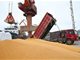 中国承诺再购买1000万吨美国大豆！