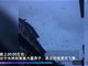 四川宜宾震区燕子成群飞舞视频热传
