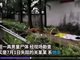 广东8岁男童被杀遗体现化粪池 家人被警方带走调查