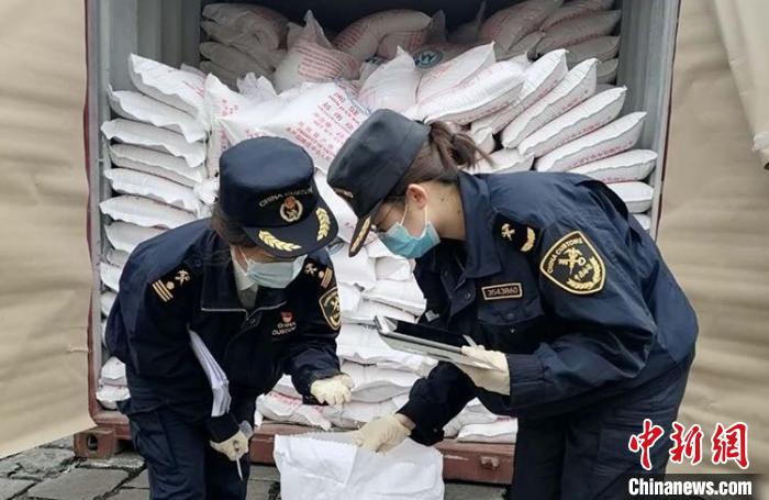 福州海关在进境货检渠道全国首次截获米淡墨虫