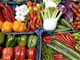 全国蔬菜价格呈现季节性下降 后期蔬菜供给有保障