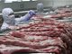 又来1万吨中央储备冻猪肉 年内累计投放将达60万吨